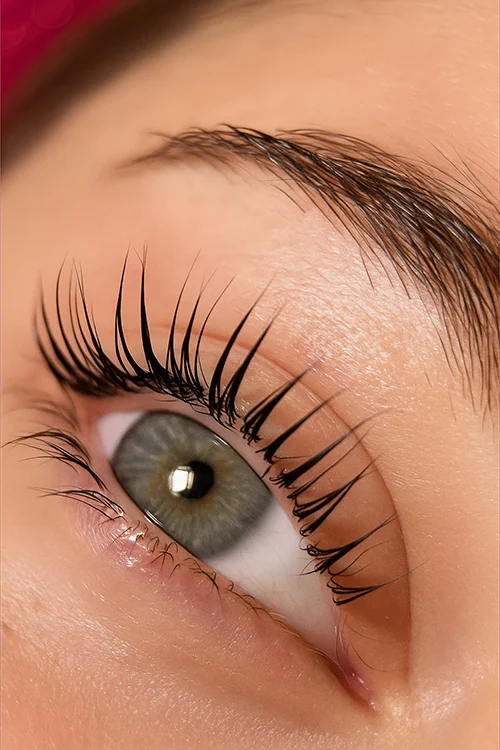 Rehaussement des Cils, Rehaussement, des Cils, lash Lift, Lash in Style, lash lamination, Rehaussement des Cils, Rehaussement, des Cils, lash Lift, Lash in Style, lamination