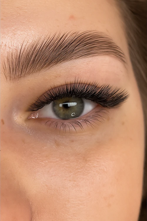 Extensions de Cils, Extensions, de Cils, cils, Eyelash Extensions, lash Extensions, lashes in Style, Volume Russe, Mega Volume, Effet Tendance